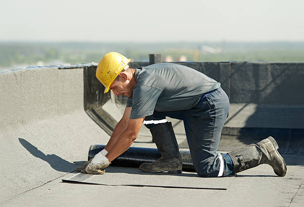 Best Specialized Insulation Services in Greenfield, MO